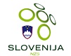 Словения - Латвия прямая трансляция смотреть онлайн 16.11.2019
