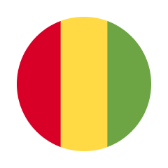 Гвинея - Гамбия прямая трансляция смотреть онлайн 19.01.2024