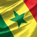 Сенегал - Экваториальная Гвинея прямая трансляция смотреть онлайн 30.01.2022